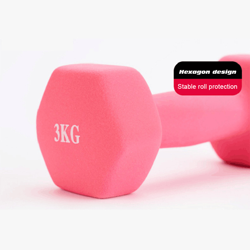 Women Dumbbell Hexagonal Dumbb - Dumbbell Set ulasan dan harga